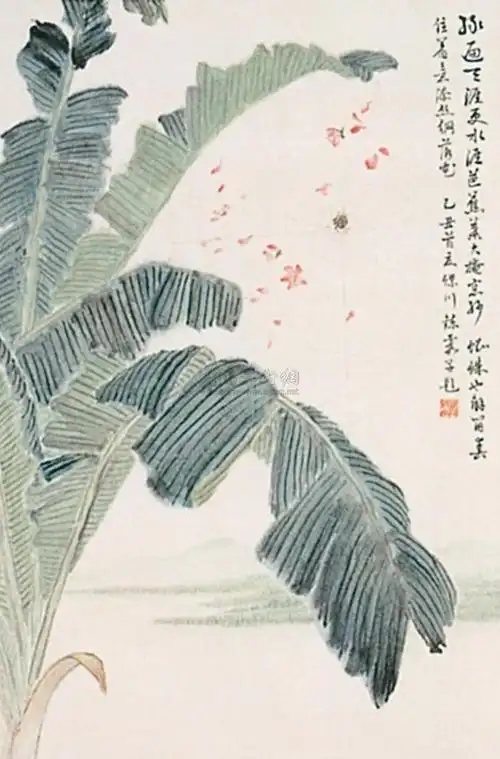 0177 1985年作 芭蕉图 立轴