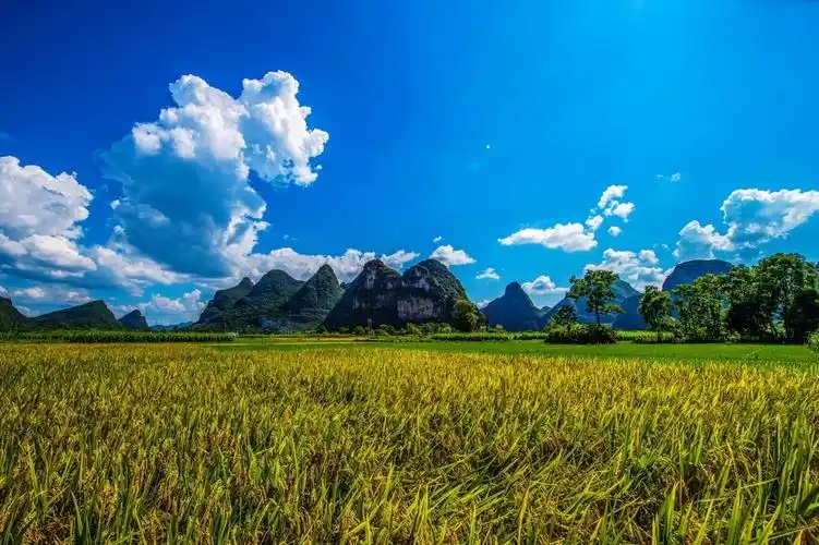 乡村田野风光风景记实拍摄 续