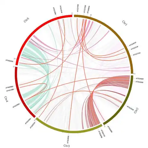 circos-基因组圈图绘制软件基础绘图