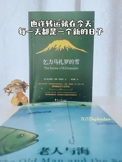 读海明威感悟文学带来的生活哲学的慰藉