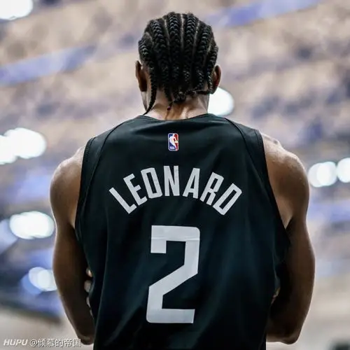 有没有适合做头像的伦纳德的图