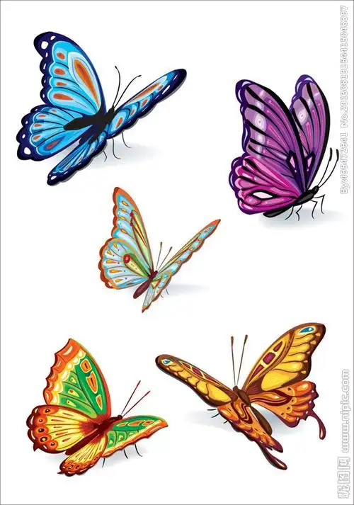 花蝴蝶设计图__图片素材_其他_设计图库_昵图网nipic.com