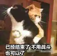 疫情结束后我的发型-聊天表情-斗图表情包-表情包网站