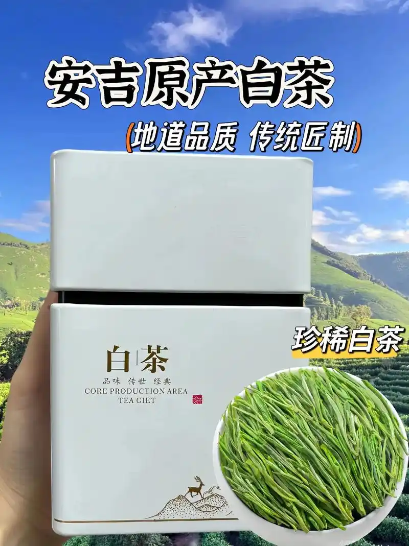 安吉白茶,产于浙江省安吉县,是安吉县特产,绿水青山产好茶