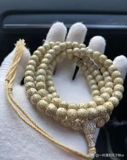 象牙果盘玩后效果图(象牙果盘玩变色)-我的快乐小窝