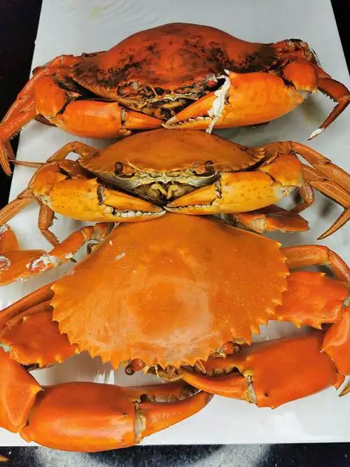 东山岛一级肉蟹红鲟蟹饱满包活共650g红膏蟹公蟹燕母蟹三只装