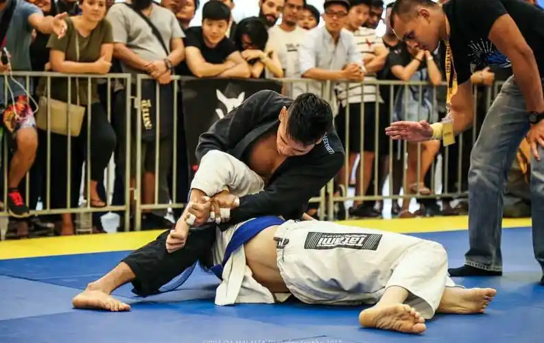 ufc赛场上精彩木村锁降服