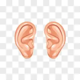 左右耳朵卡通