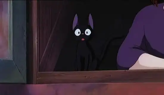 p>黑猫吉吉是小说《 a target="_blank" href="/item/魔女宅急便