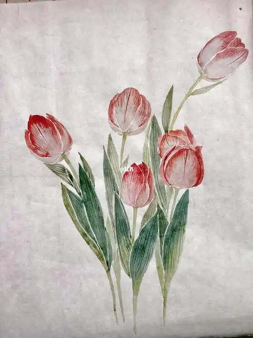 没骨画  #国画  #郁金香  #绘画