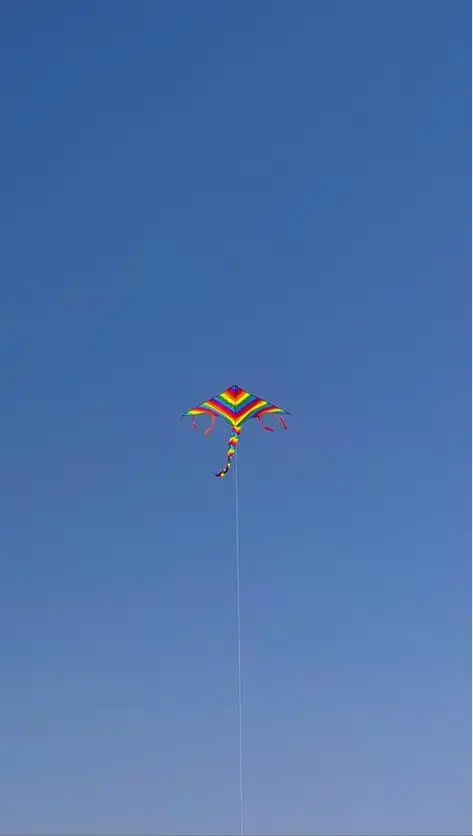 怎么放风筝才能起飞得更高(把风筝很好的放起来两大方法)-天之涯