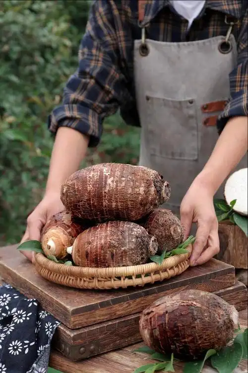 买芋头时,槟榔芋头和荔浦芋头有啥不同?菜农:区别很大,别瞎买