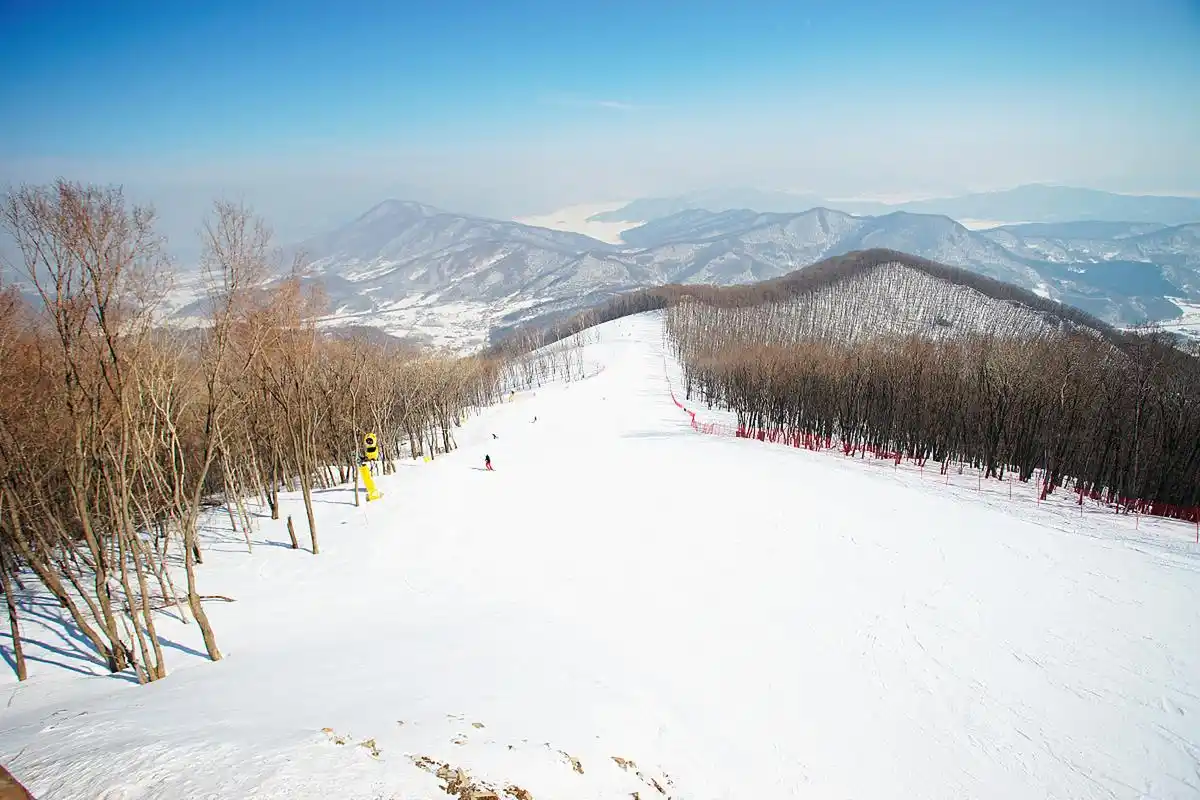 可可托海国际滑雪场一女子滑雪时发生意外  11 月 7 日下午,新疆可可