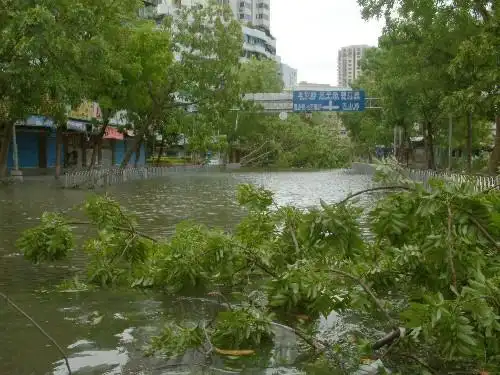 台风"珍珠"离去后,汕头市天山路被水淹没,许多