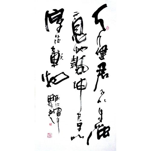 d李思桂书法作品名家字画书法中国书协会员三尺竖幅天行健君子