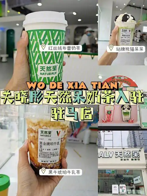 驻马店探店关晓彤天然呆奶茶评测