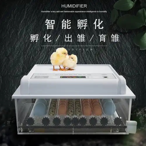 京选推荐小型孵化机全自动家用型孵化器鸡蛋孵化设备孵化箱48枚双电
