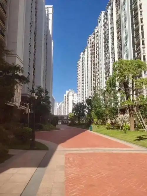 出售『金港广场c区』笋盘