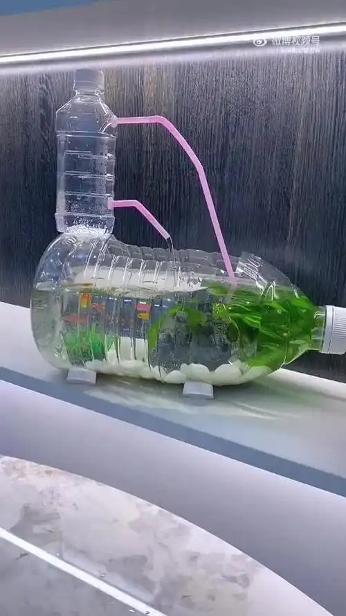 自制小水泵大鱼缸