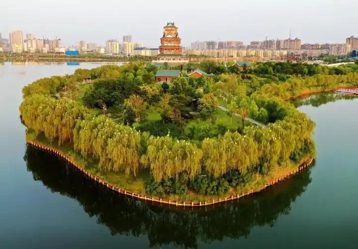 橙黄橘绿之时菏泽这个县美景连连