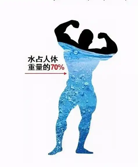 首先,我们来谈谈水在人类日常生活中的重要性.