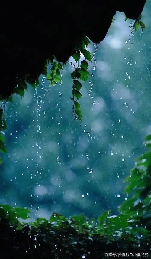 下雨天适合雨瘾者