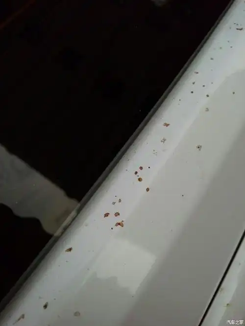车停放时间久了,漆面上有类似苍蝇屎的东西