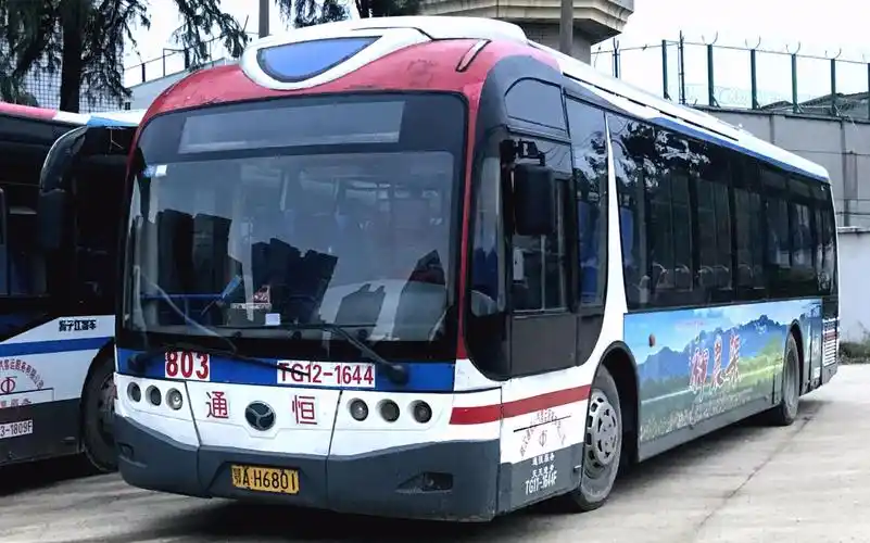 【武汉公交】803路 前方展望(夜景)