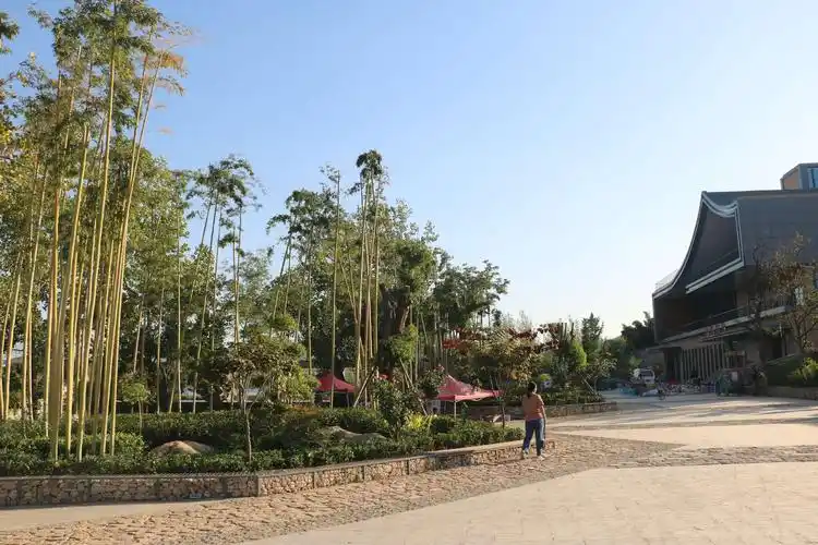 其它 试填《思帝乡》 写美篇  思帝乡 秋日游, 瓜果满枝头, 碧水翠竹