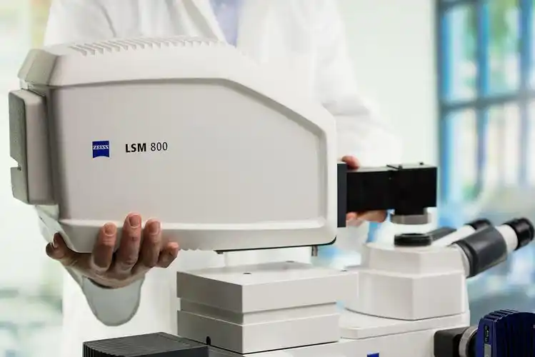 蔡司激光共聚焦扫描显微镜lsm 800