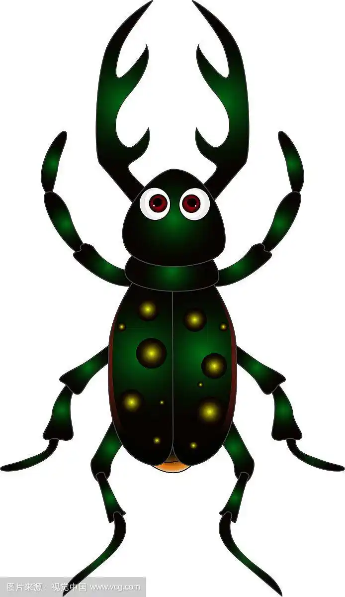 白色背景上的卡通甲虫