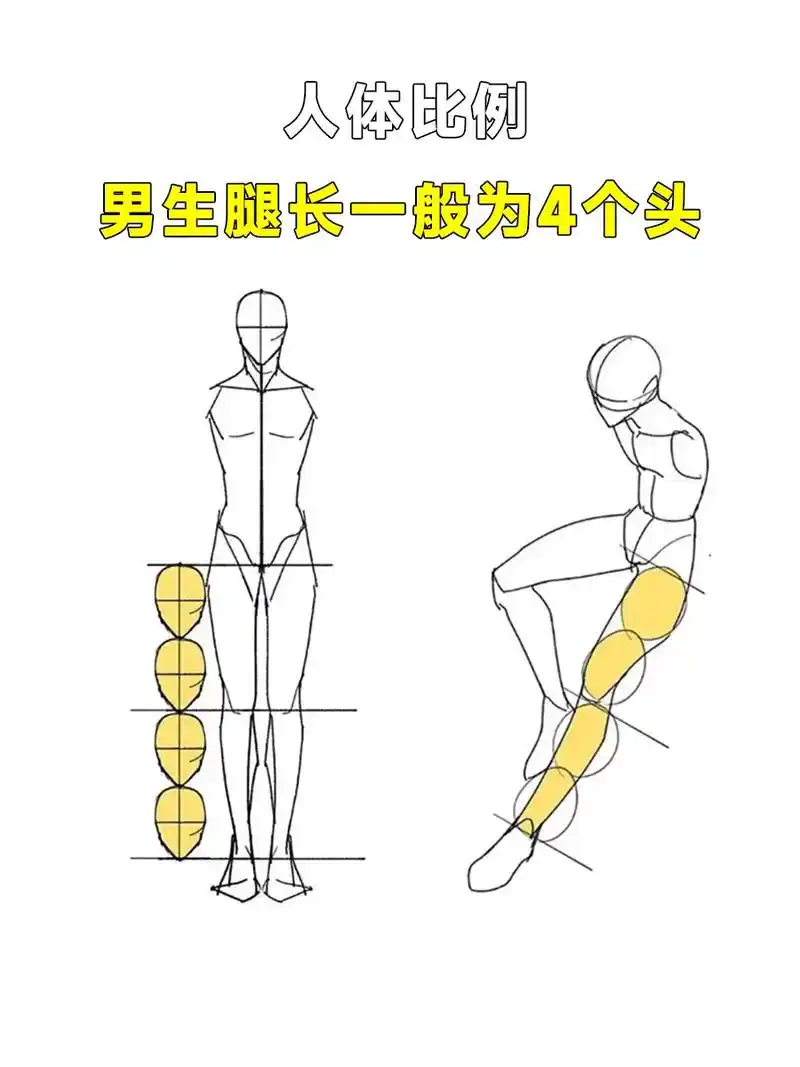 仁体比例小技巧,浅更一下#一起学画画 #绘画技巧 #零基础学 - 抖音