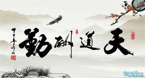 第八弹,鱼缸背景水墨字(二)—系列,高清下载【鱼子酱团】