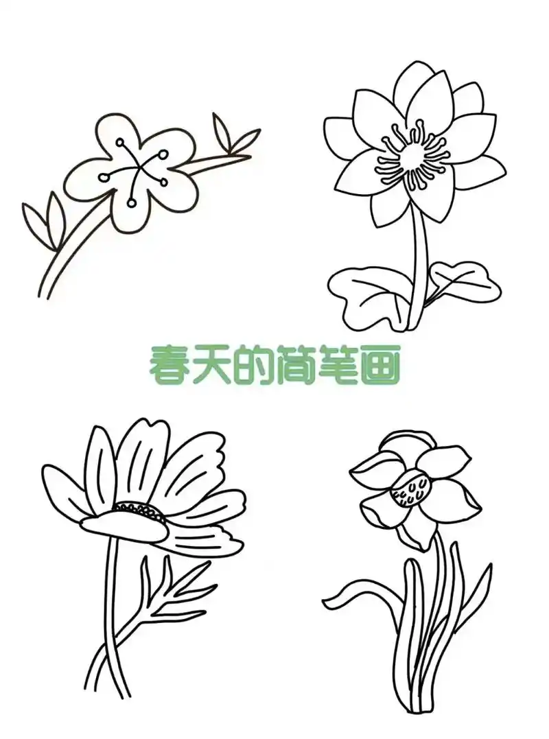 我想问问你们是大波浪还是离子烫[捂脸]?布置的简笔画是这样的 - 抖音