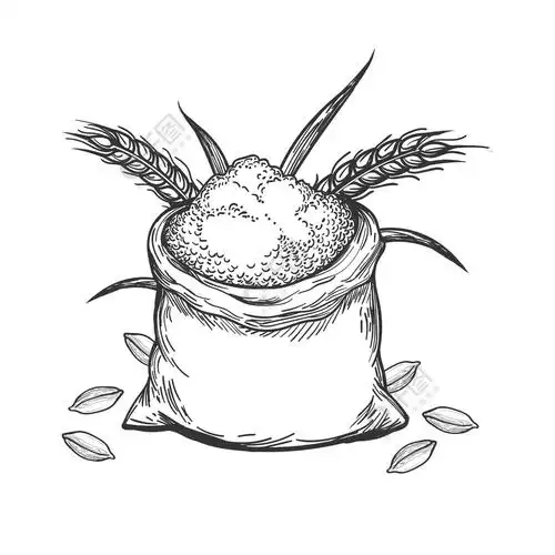 画了一整袋小麦粉手绘整袋小麦粉和谷物在白色背景下分离矢量图