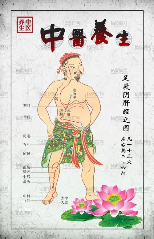 中医养生足厥阴肝经穴位挂图psd分层素材