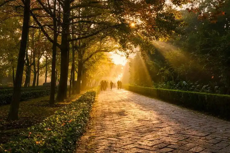 清晨の第一缕阳光