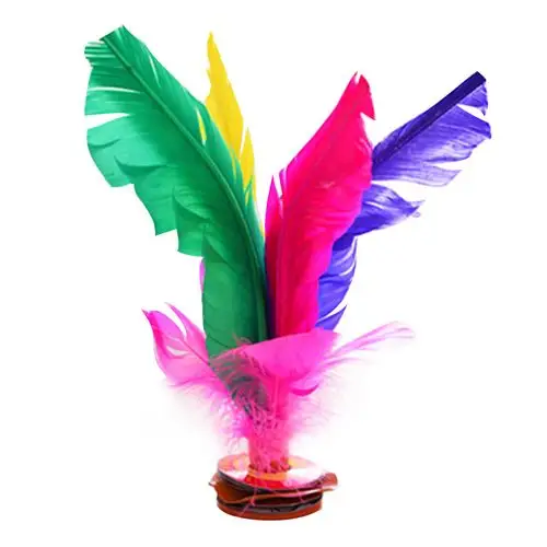 健身羽毛儿童玩具鹅毛牛筋毽子毽球花毽