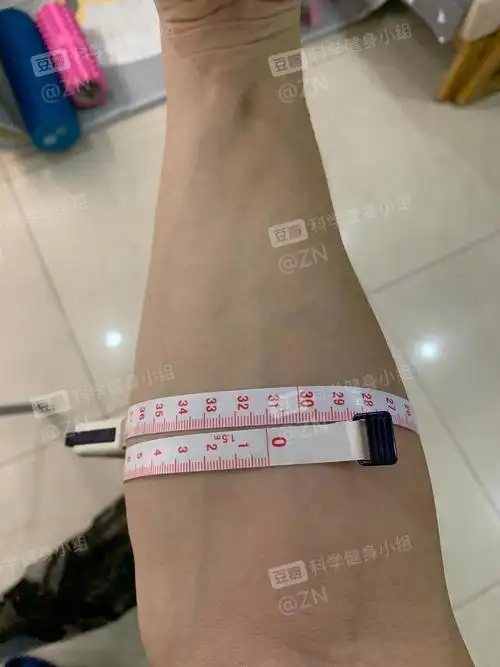 健身入门了臂围40前臂31