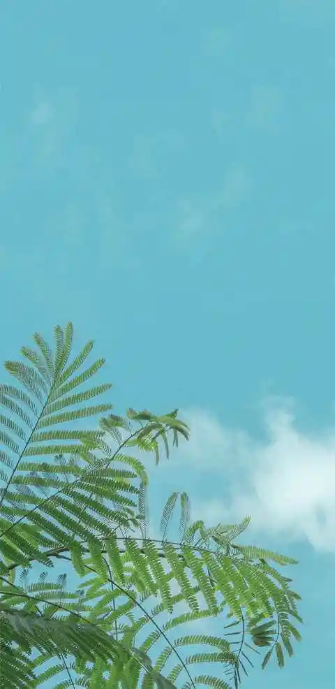 p8的分辨率是1920x1080p,之前静静给大家分享的壁纸大多数都是横屏的