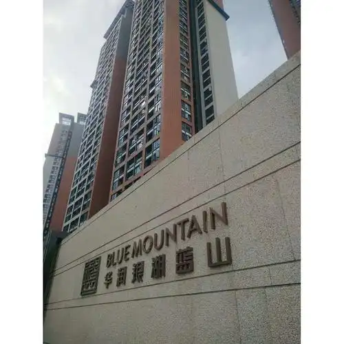 深圳远鹏装饰集团有限公司深圳华润银湖蓝山二期项目(7号楼) - 广东