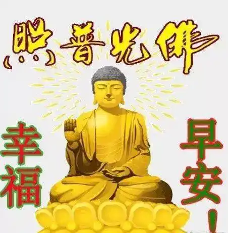 微信早上好问候鲜花图片带字大家早上好暖心祝福语