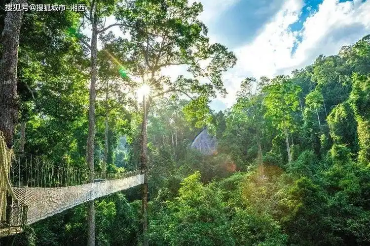 游在云南样样好