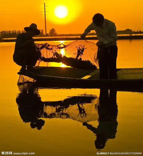 捕鱼图片