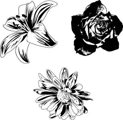 黑白花卉矢量素材图片