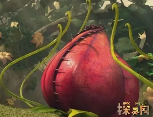 食人花吃人视频曝光吃掉十条生命才开一次花杀人于无形2