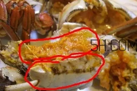 螃蟹的屎和蟹黄怎么分辨?