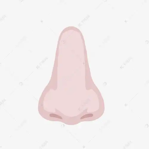 卡通漫画鼻子五官png素材图片免费下载-千库网