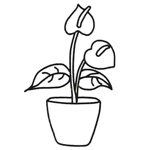 100种花的简笔画简单丶好看