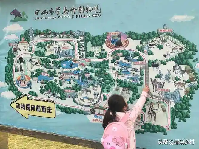 周末,中山市民最爱去的地方首选紫马岭公园.冬日紫马岭公园一角